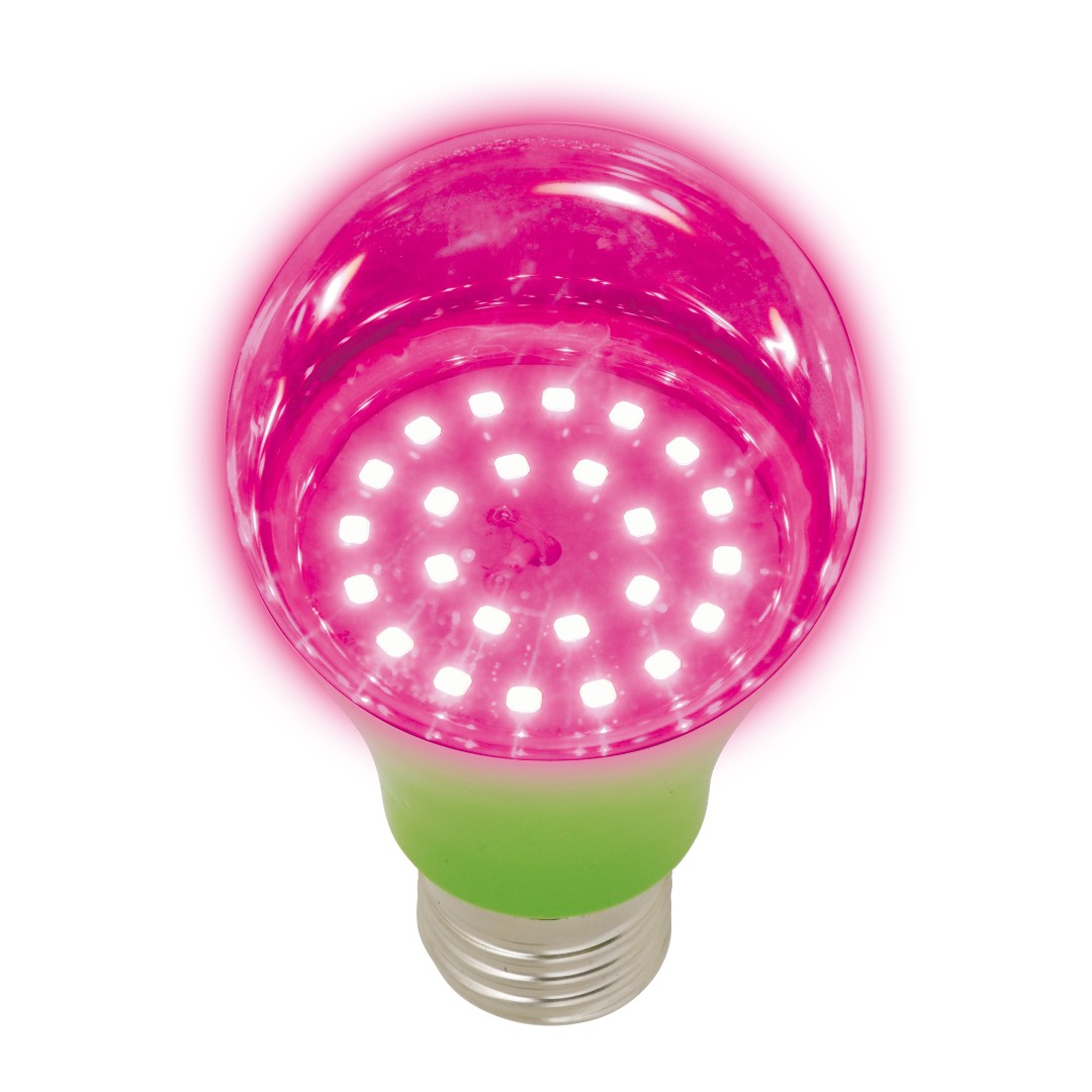 LED-A60-8W/SPSB/E27/CL PLP30GR Лампа светодиодная для растений. Форма A